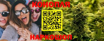 СК Пенза