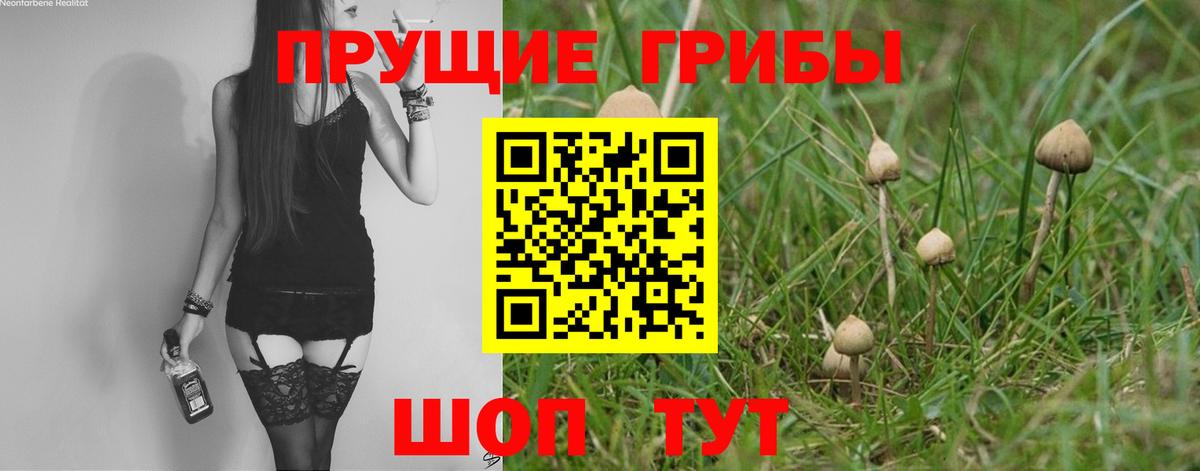 Псилоцибиновые грибы ЛСД Похвистнево